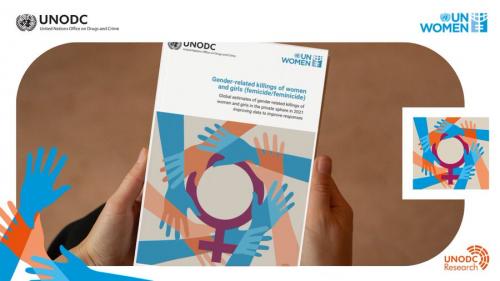 Gender-related killings of women and girls: Improving data to improve  responses to femicide/feminicide, Publications